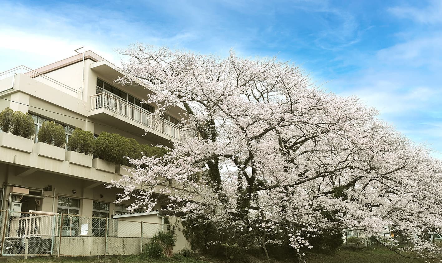 福寿荘と満開の桜